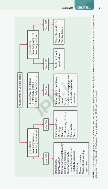 هندبوک اصول طب داخلی هاریسون 2020 |  Harrisons Manual of Medicine 20th Edition