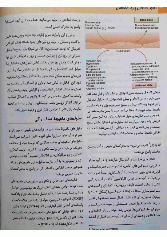 آسیب‌شناسی پایه اختصاصی رابینز 2018 ترجمه دکتر شکور