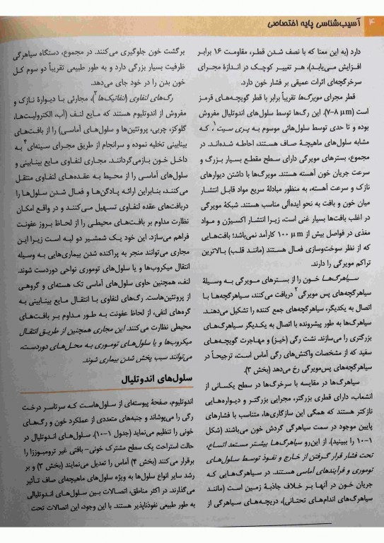 آسیب‌شناسی پایه اختصاصی رابینز 2018 ترجمه دکتر شکور