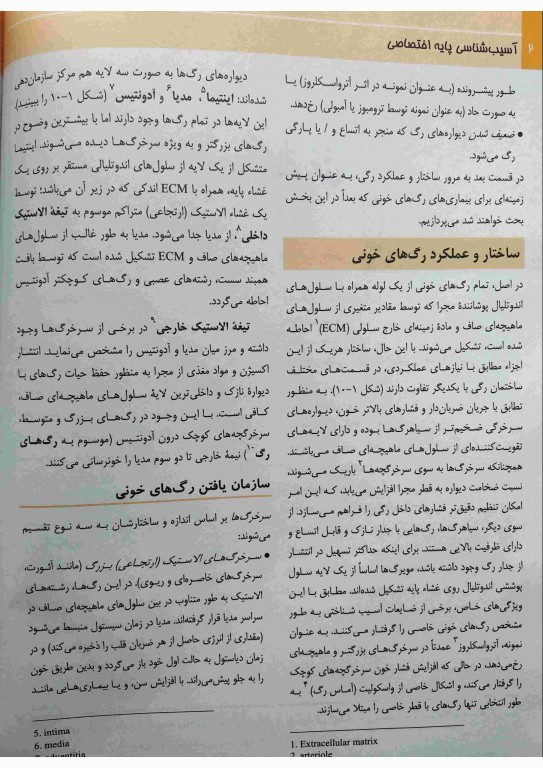 آسیب‌شناسی پایه اختصاصی رابینز 2018 ترجمه دکتر شکور