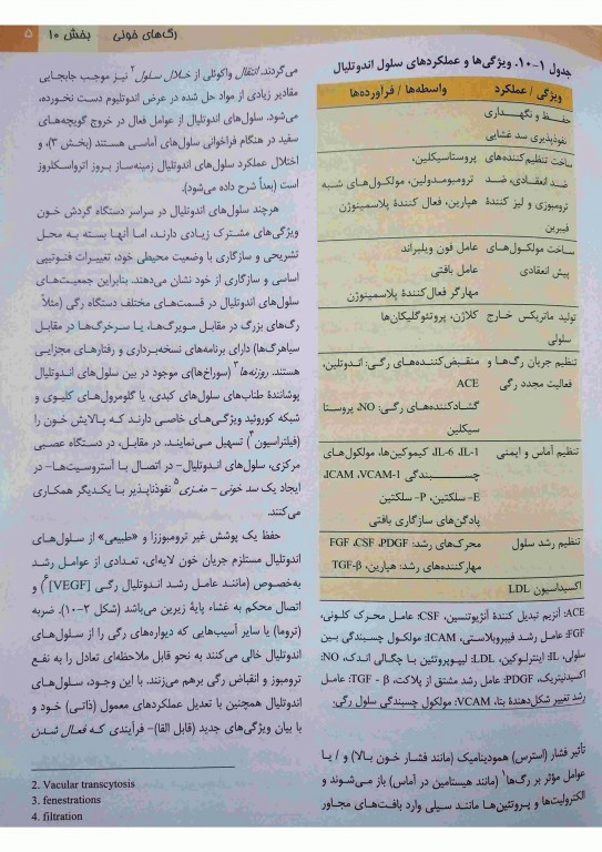 آسیب‌شناسی پایه اختصاصی رابینز 2018 ترجمه دکتر شکور