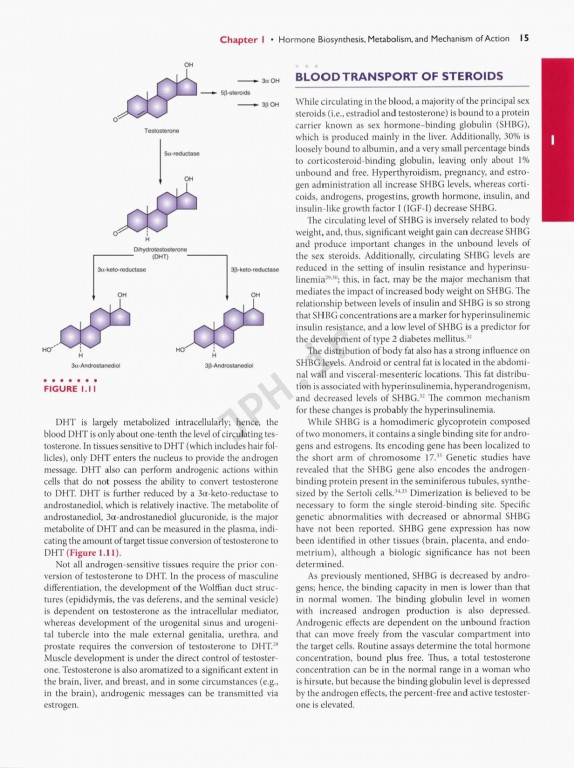 اندوکرینولوژی بالینی زنان و ناباروری اسپیروف | Speroffs Clinical Gynecologic Endocrinology 9th Edition