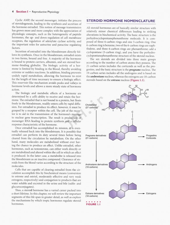 اندوکرینولوژی بالینی زنان و ناباروری اسپیروف | Speroffs Clinical Gynecologic Endocrinology 9th Edition