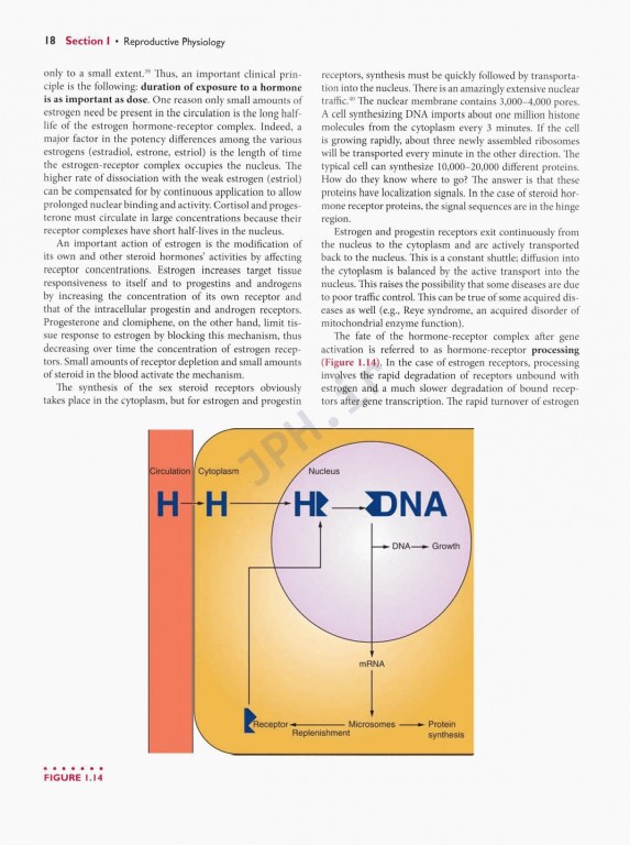 اندوکرینولوژی بالینی زنان و ناباروری اسپیروف | Speroffs Clinical Gynecologic Endocrinology 9th Edition