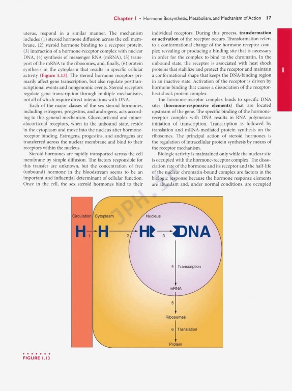 اندوکرینولوژی بالینی زنان و ناباروری اسپیروف | Speroffs Clinical Gynecologic Endocrinology 9th Edition
