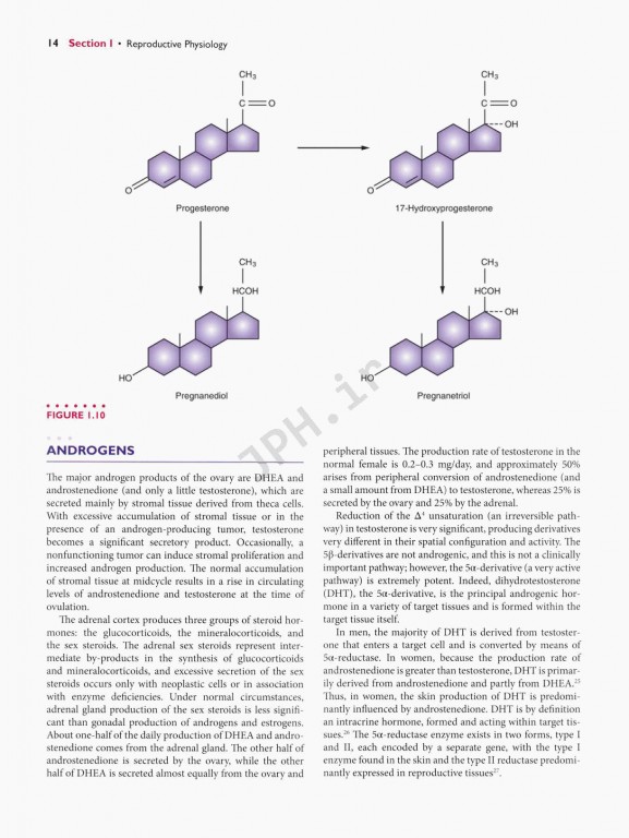 اندوکرینولوژی بالینی زنان و ناباروری اسپیروف | Speroffs Clinical Gynecologic Endocrinology 9th Edition