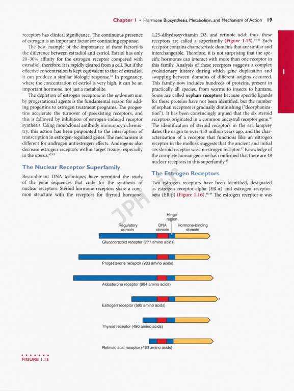 اندوکرینولوژی بالینی زنان و ناباروری اسپیروف | Speroffs Clinical Gynecologic Endocrinology 9th Edition