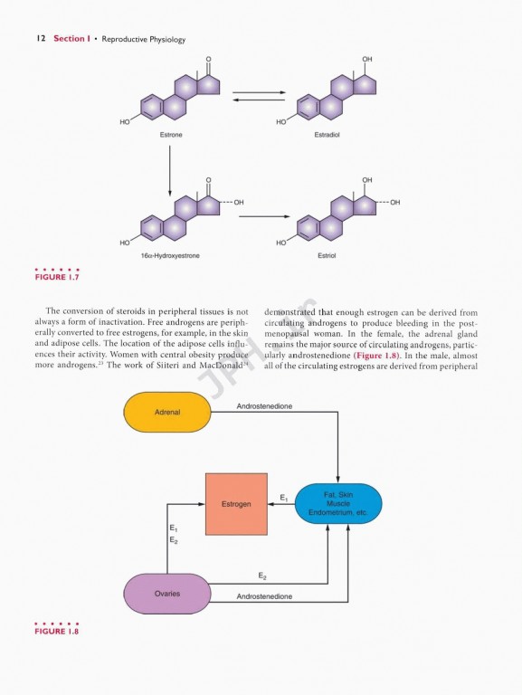 اندوکرینولوژی بالینی زنان و ناباروری اسپیروف | Speroffs Clinical Gynecologic Endocrinology 9th Edition