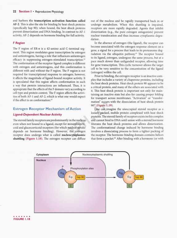 اندوکرینولوژی بالینی زنان و ناباروری اسپیروف | Speroffs Clinical Gynecologic Endocrinology 9th Edition