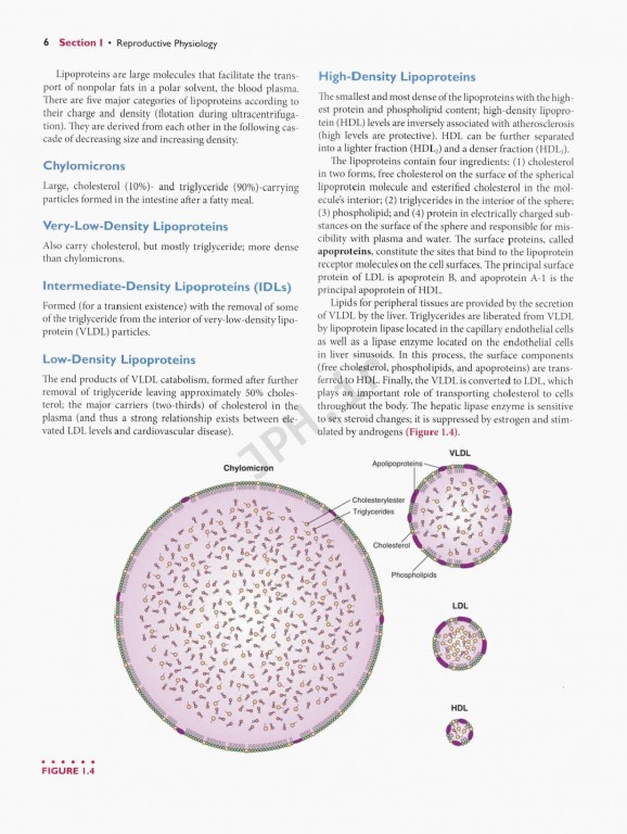 اندوکرینولوژی بالینی زنان و ناباروری اسپیروف | Speroffs Clinical Gynecologic Endocrinology 9th Edition