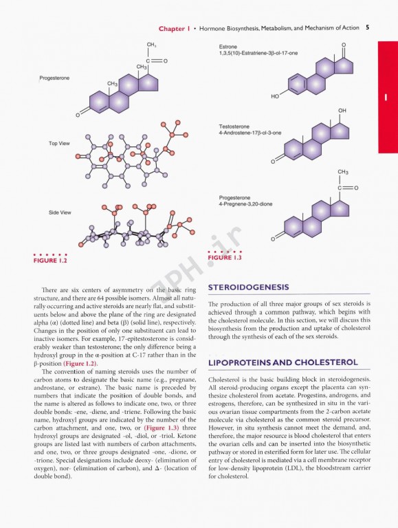 اندوکرینولوژی بالینی زنان و ناباروری اسپیروف | Speroffs Clinical Gynecologic Endocrinology 9th Edition