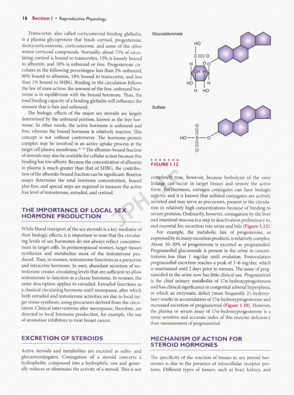 اندوکرینولوژی بالینی زنان و ناباروری اسپیروف | Speroffs Clinical Gynecologic Endocrinology 9th Edition
