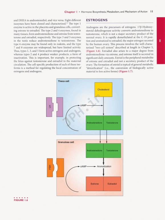 اندوکرینولوژی بالینی زنان و ناباروری اسپیروف | Speroffs Clinical Gynecologic Endocrinology 9th Edition