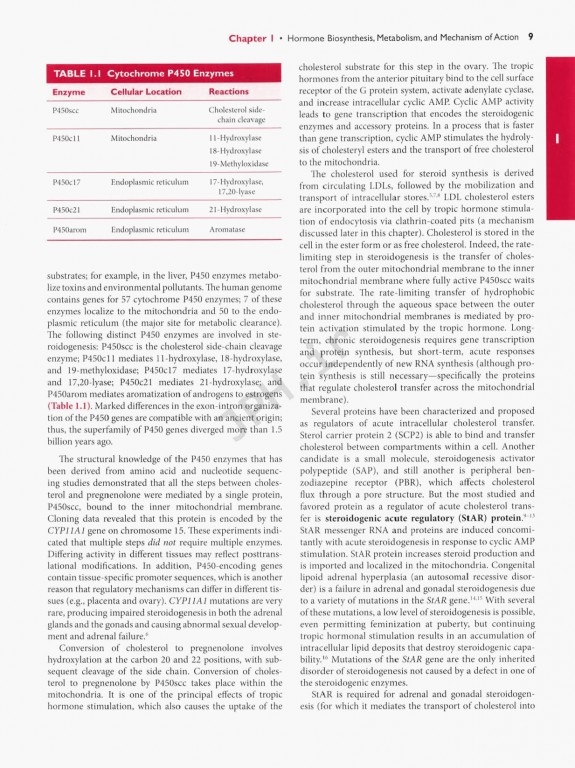 اندوکرینولوژی بالینی زنان و ناباروری اسپیروف | Speroffs Clinical Gynecologic Endocrinology 9th Edition