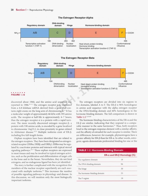 اندوکرینولوژی بالینی زنان و ناباروری اسپیروف | Speroffs Clinical Gynecologic Endocrinology 9th Edition