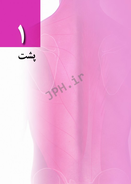 خلاصه آناتومی گری برای دانشجویان 2020