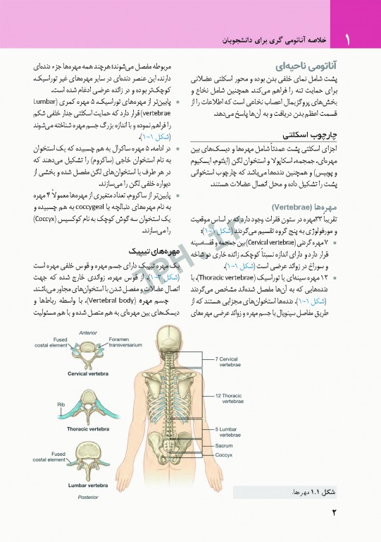 خلاصه آناتومی گری برای دانشجویان 2020