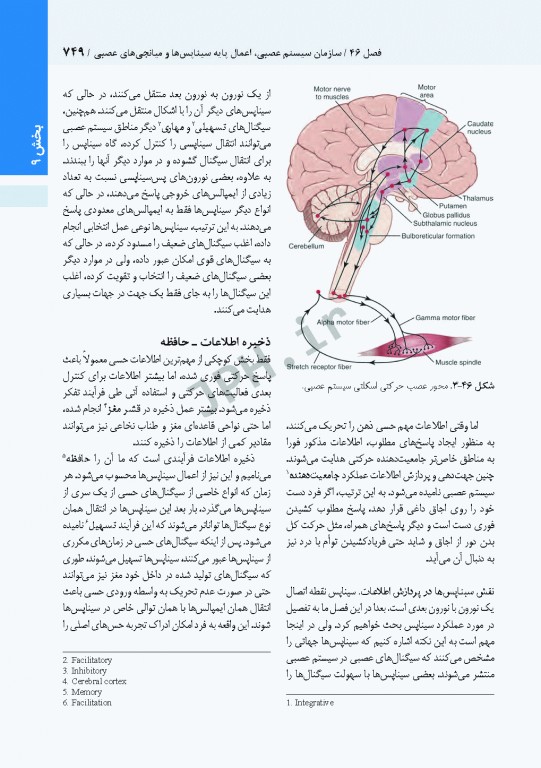 فیزیولوژی پزشکی گایتون و هال 2021 دکتر ارجمند جلد دوم