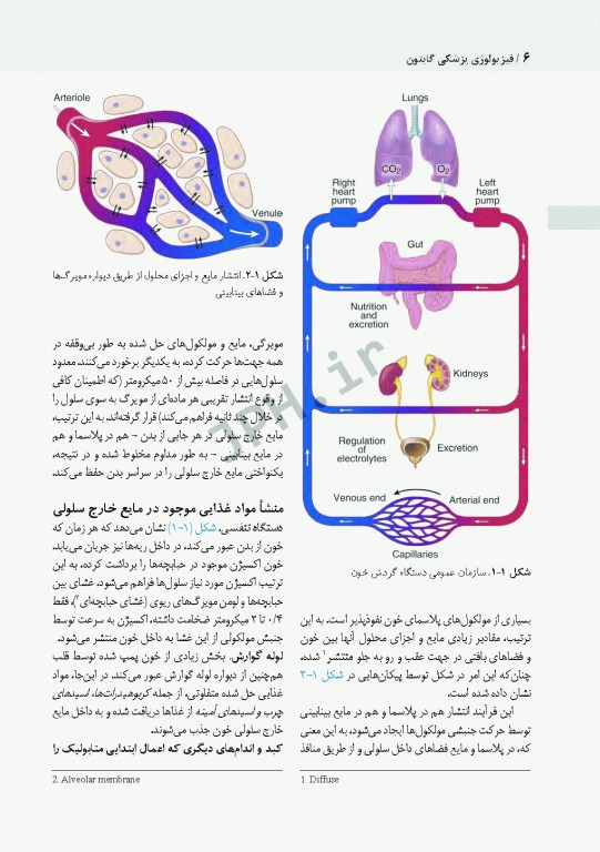 فیزیولوژی پزشکی گایتون و هال 2021 دکتر ارجمند جلد اول
