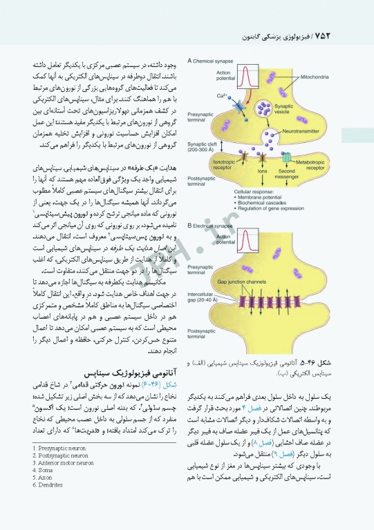 فیزیولوژی پزشکی گایتون و هال 2021 دکتر ارجمند جلد دوم