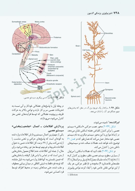 فیزیولوژی پزشکی گایتون و هال 2021 دکتر ارجمند جلد دوم