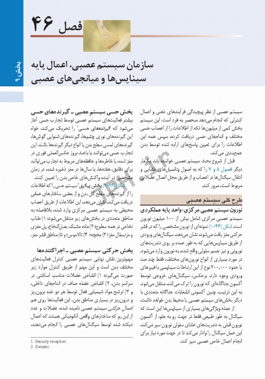 فیزیولوژی پزشکی گایتون و هال 2021 دکتر ارجمند جلد دوم