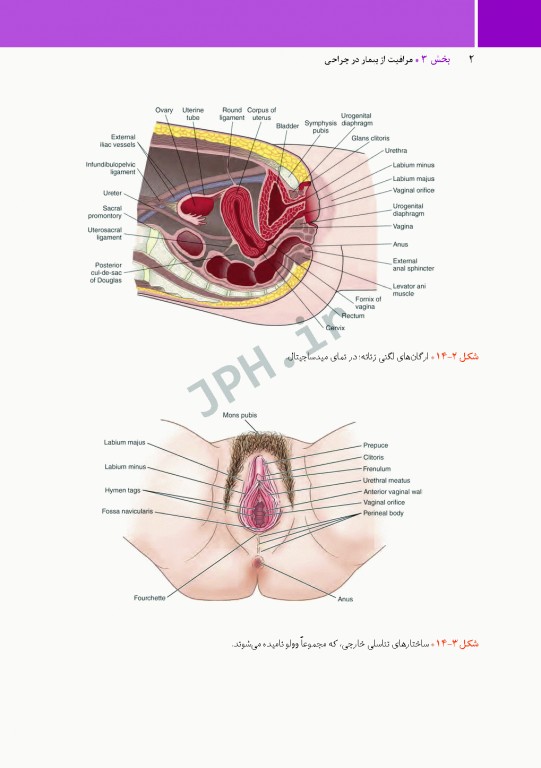 مراقبت از بیمار در جراحی الکساندر 2019 جلد3 جراحی زنان، مامایی و اورولوژی