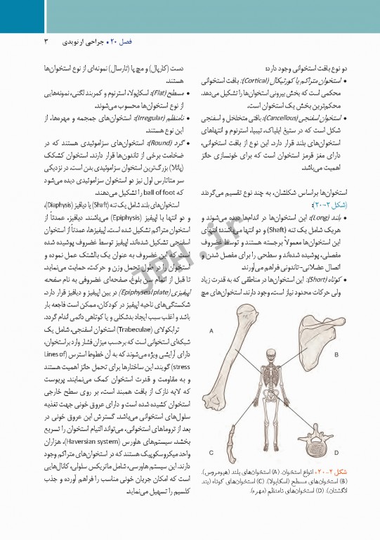 مراقبت از بیمار در جراحی الکساندر 2019 جلد6 جراحی ارتوپدی