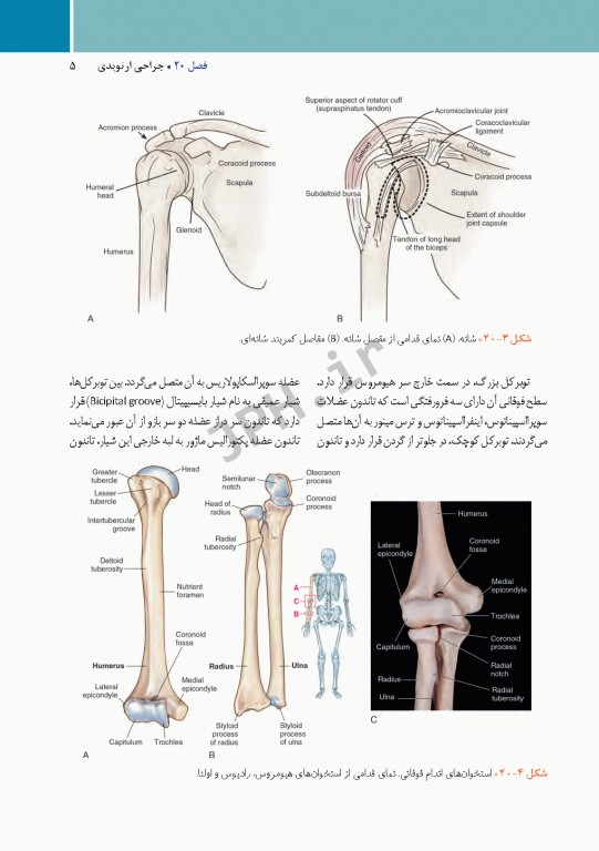 مراقبت از بیمار در جراحی الکساندر 2019 جلد6 جراحی ارتوپدی