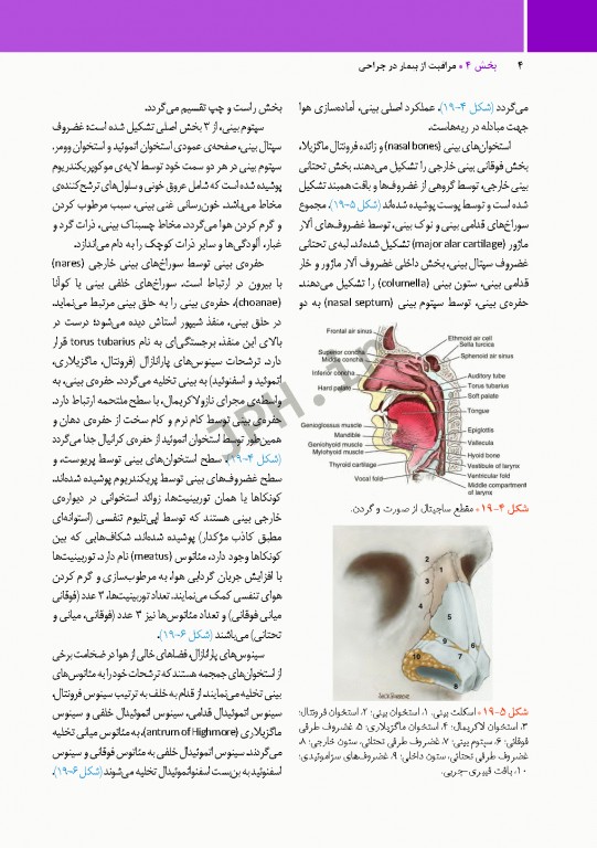 مراقبت از بیمار در جراحی الکساندر 2019 جلد5 جراحی گوش، حلق و بینی(ENT)
