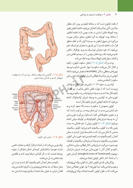 مراقبت از بیمار در جراحی الکساندر 2019 جلد2 جراحی گوارش و غدد