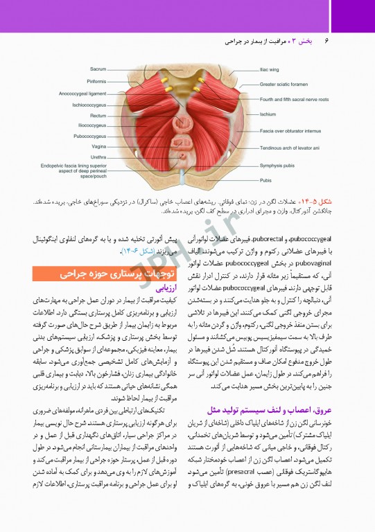 مراقبت از بیمار در جراحی الکساندر 2019 جلد3 جراحی زنان، مامایی و اورولوژی