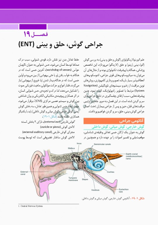 مراقبت از بیمار در جراحی الکساندر 2019 جلد5 جراحی گوش، حلق و بینی(ENT)