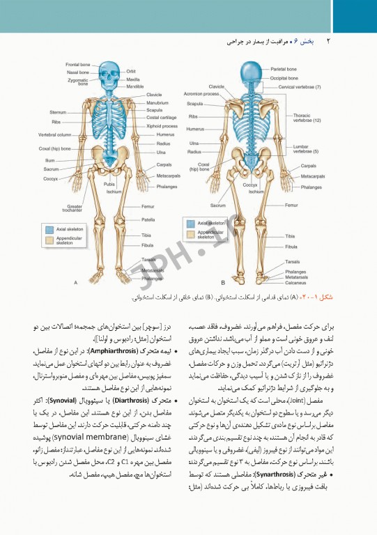 مراقبت از بیمار در جراحی الکساندر 2019 جلد6 جراحی ارتوپدی