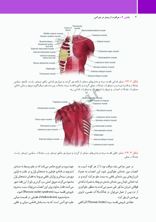 مراقبت از بیمار در جراحی الکساندر 2019 جلد9 جراحی توراکس، قلب و عروق