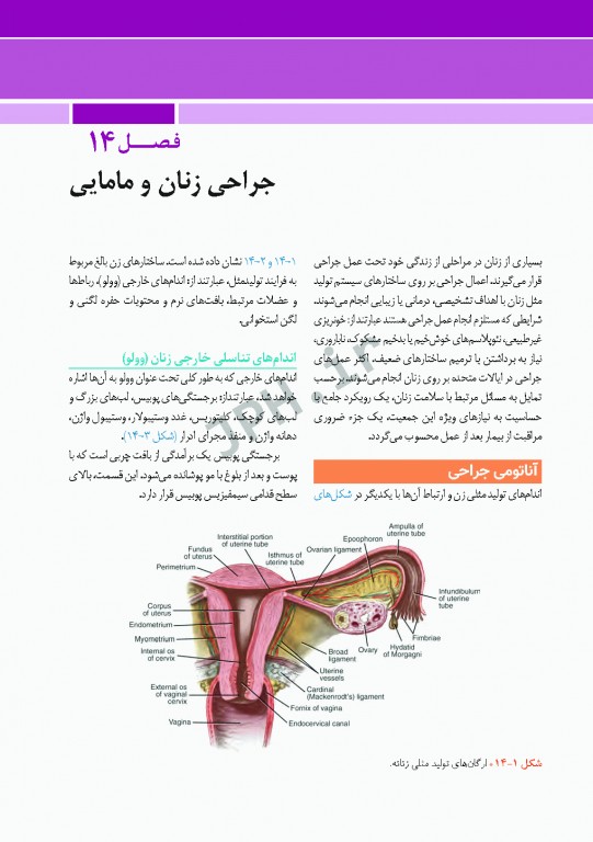 مراقبت از بیمار در جراحی الکساندر 2019 جلد3 جراحی زنان، مامایی و اورولوژی