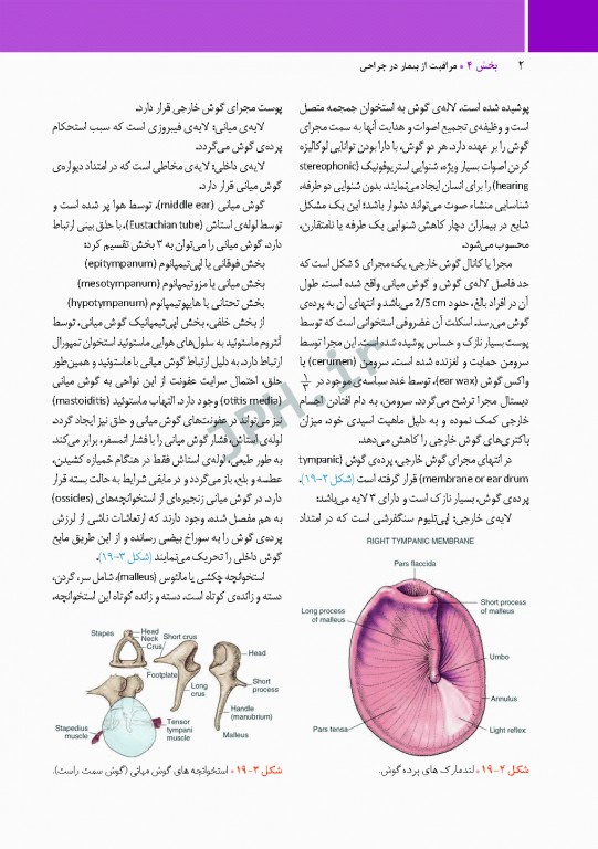 مراقبت از بیمار در جراحی الکساندر 2019 جلد5 جراحی گوش، حلق و بینی(ENT)