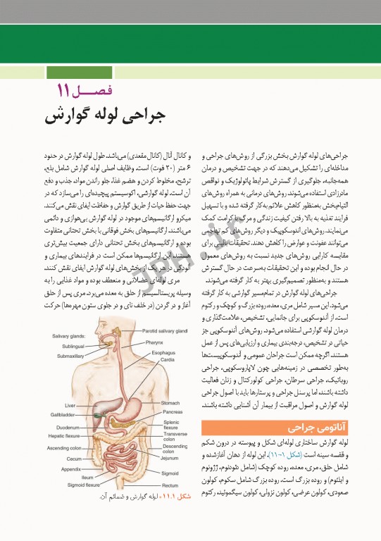 مراقبت از بیمار در جراحی الکساندر 2019 جلد2 جراحی گوارش و غدد