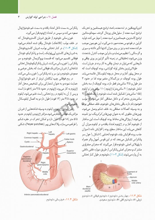 مراقبت از بیمار در جراحی الکساندر 2019 جلد2 جراحی گوارش و غدد