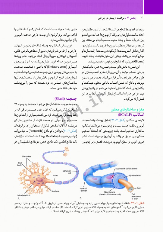 مراقبت از بیمار در جراحی الکساندر 2019 جلد7 جراحی اعصاب