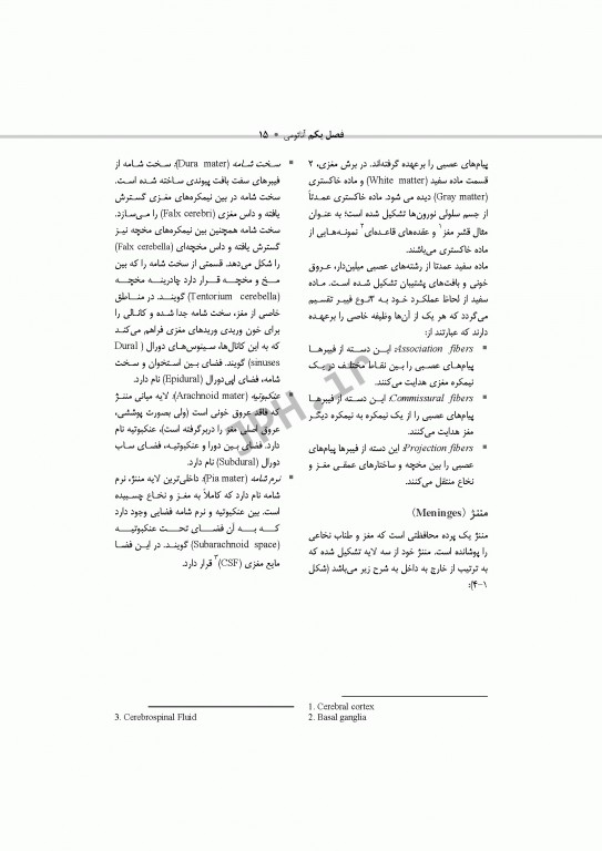 تکنولوژی جراحی اعصاب ساداتی و گلچینی