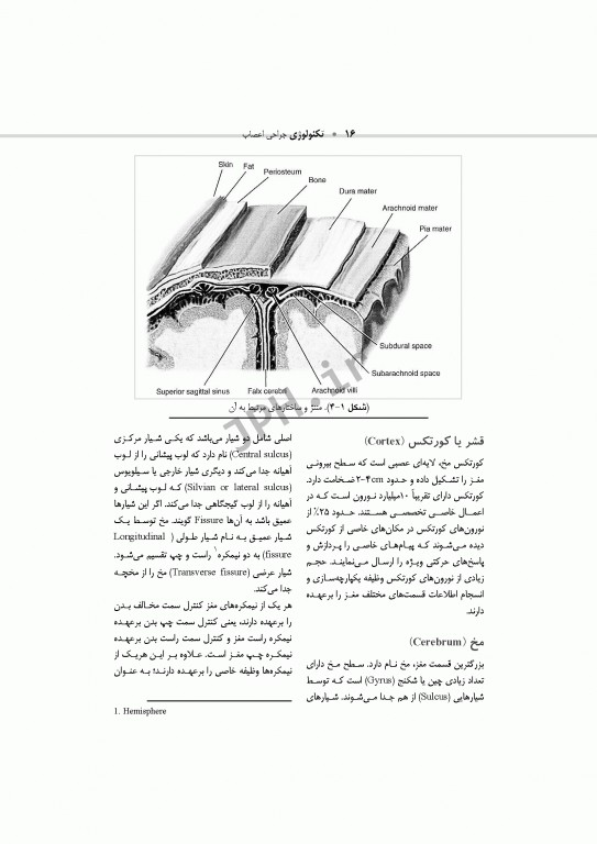 تکنولوژی جراحی اعصاب ساداتی و گلچینی