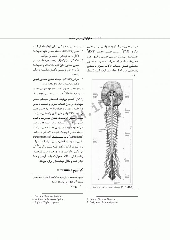 تکنولوژی جراحی اعصاب ساداتی و گلچینی