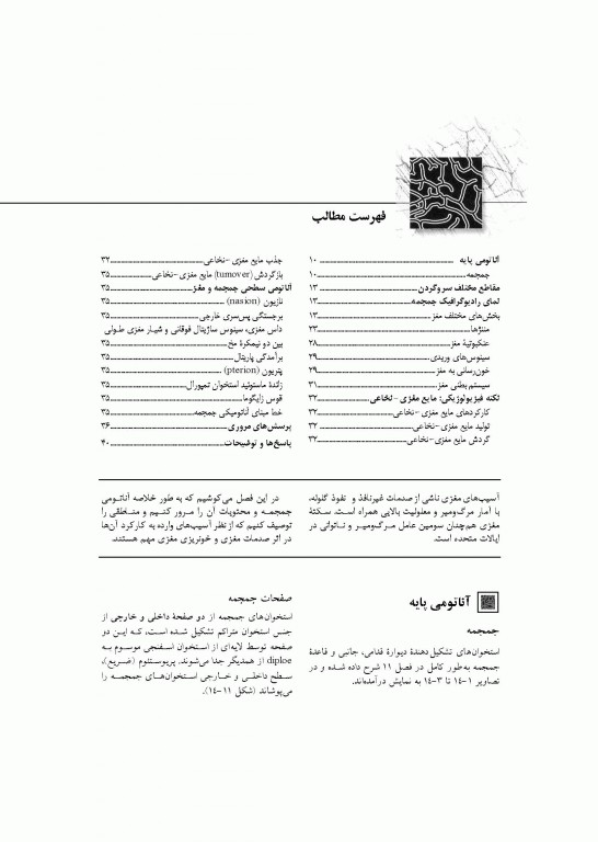 آناتومی سیستمیک اسنل جلد چهارم دستگاه عصبی