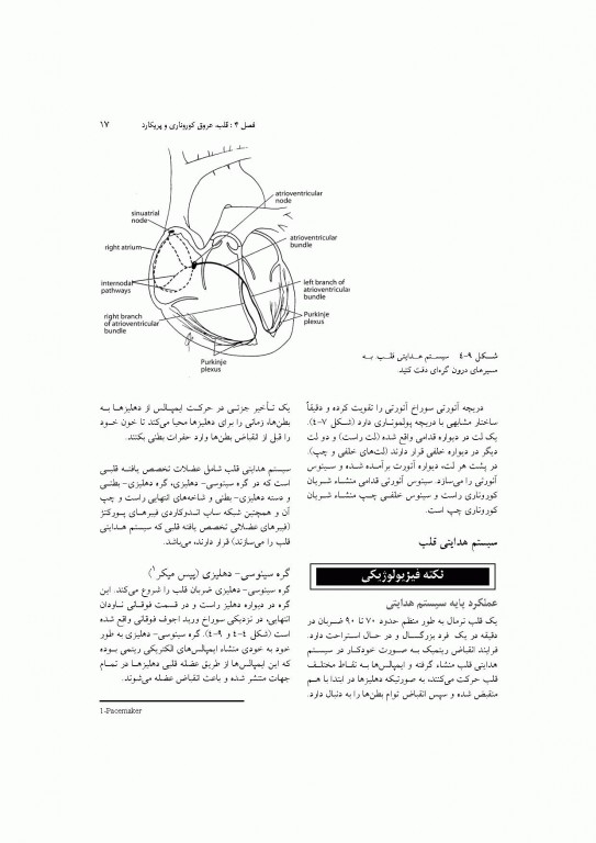 آناتومی سیستمیک اسنل جلد دوم دستگاه قلب و عروق