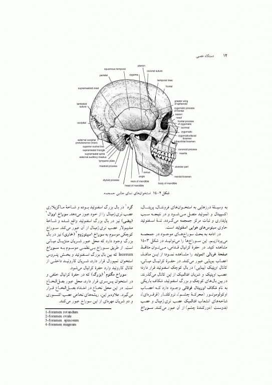 آناتومی سیستمیک اسنل جلد چهارم دستگاه عصبی