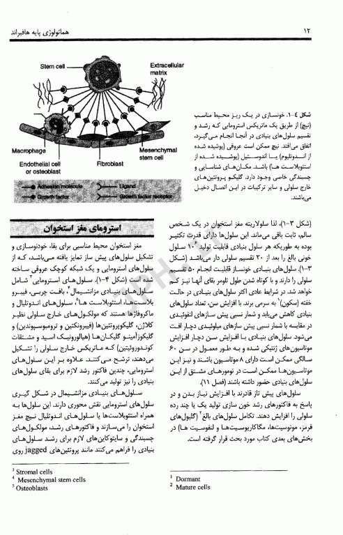 اصول هماتولوژی پایه هافبراند به‌همراه CD اورجینال