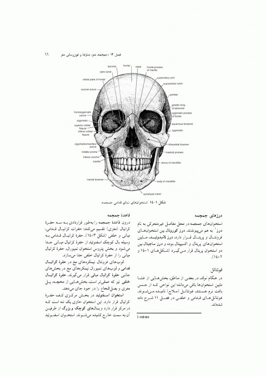 آناتومی سیستمیک اسنل جلد چهارم دستگاه عصبی