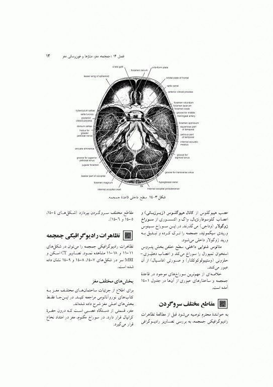 آناتومی سیستمیک اسنل جلد چهارم دستگاه عصبی
