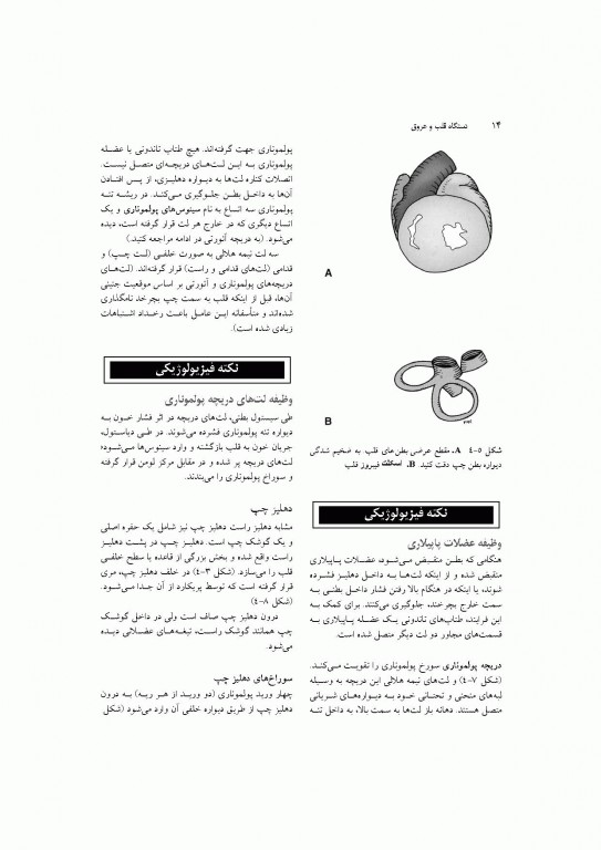 آناتومی سیستمیک اسنل جلد دوم دستگاه قلب و عروق